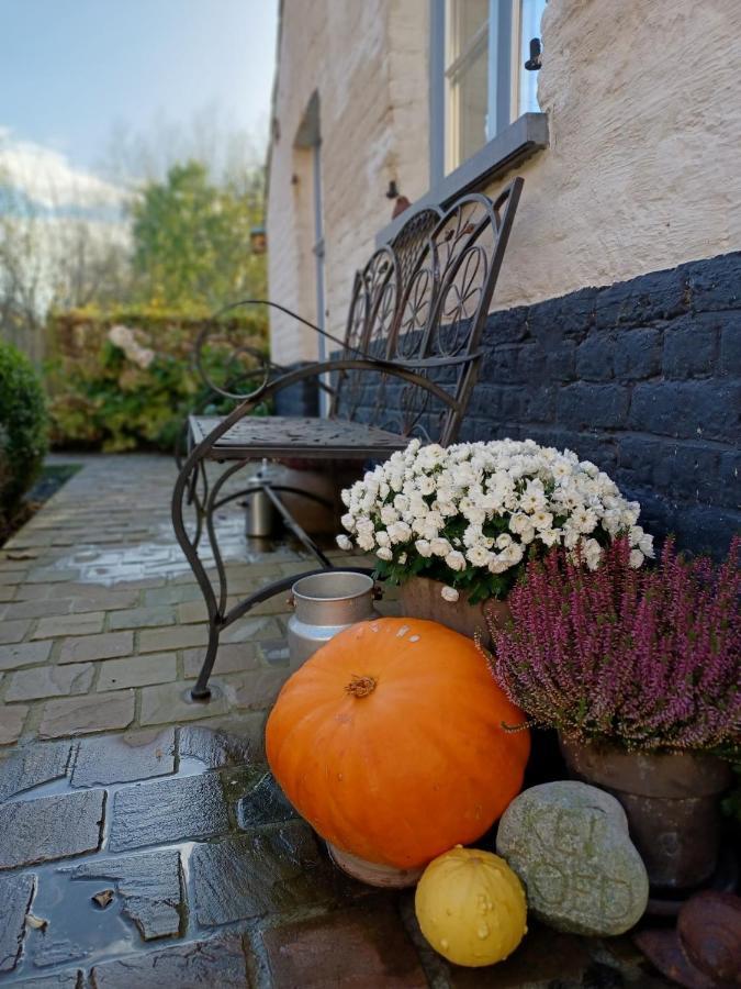 Gastenkamer Klein Geluk Brugge Dış mekan fotoğraf